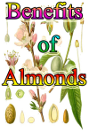 Almonds Benefits  screenshot 1/3
