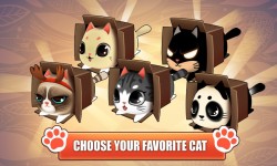Small Kitty in the Box screenshot 3/4