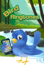 Bird Ringtones New screenshot 1/5