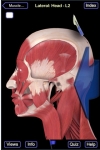 Muscle System (Head and Neck) screenshot 1/1