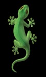 Green Lizard Live Wallpaper screenshot 1/3