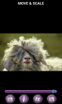 Funny Animals Wallpapers HD 3D screenshot 5/6