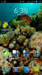 HD Wallpaper With Fish screenshot 4/4