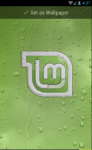 Linux Mint Wallpaper screenshot 3/6