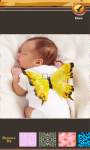 Free Butterfly Photo Collage screenshot 4/6