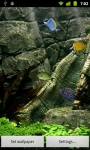 Dream Aquarium LWP screenshot 2/4