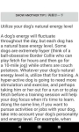 Useful Dog Training Tips screenshot 1/1