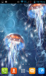 Jellyfish Live Wallpaper Best screenshot 2/4