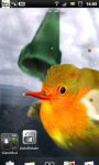 Flappy Bird Live Wallpaper 4 screenshot 1/3