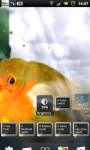 Flappy Bird Live Wallpaper 4 screenshot 3/3