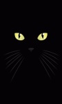 Black Cat Lick Live Wallpaper screenshot 1/3