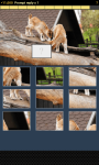 Animal Picture Puzzle screenshot 3/6