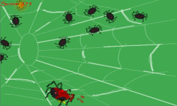 Spider Splat screenshot 2/3