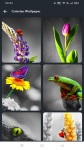 4K Nature Wallpapers screenshot 4/4