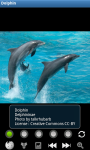 Dolphins : Ocean Wild Animals screenshot 2/6
