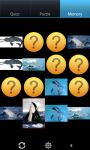 Dolphins : Ocean Wild Animals screenshot 4/6