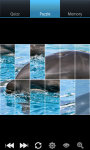 Dolphins : Ocean Wild Animals screenshot 5/6