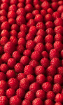 Raspberries Live Wallpaper 2 screenshot 1/3