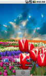Flower Fields: Tulips FREE screenshot 1/3