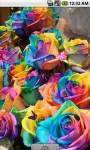 Rainbow Roses Romantic Live Wallpaper screenshot 1/4