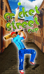 Cricket Street Cup screenshot 1/4