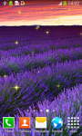Lavender Live Wallpapers Top screenshot 4/6