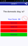 Dog Breeds Quiz Pet Trivia screenshot 4/5