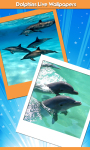 Dolphins Live Wallpapers New screenshot 1/6
