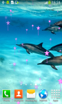 Dolphins Live Wallpapers New screenshot 5/6