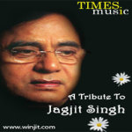 Tribute to Jagjit Singh Lite screenshot 1/2