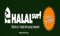 HalalSurf  Islamic Social Media Content screenshot 1/1