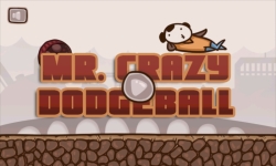 Mr Crazy DodgeBall screenshot 1/2