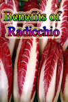 Benefits of Radicchio screenshot 1/3