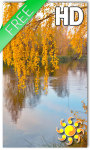Autumn birch grove screenshot 1/2
