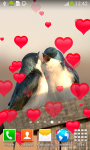 Love Birds Live Wallpapers screenshot 3/6