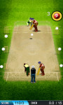Cricket Play - Free screenshot 2/4