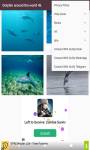dolphin around the world 4k screenshot 2/6