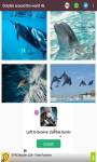 dolphin around the world 4k screenshot 3/6