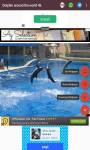 dolphin around the world 4k screenshot 6/6
