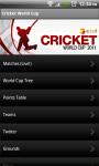 Cricket World Cup 2011  screenshot 1/1