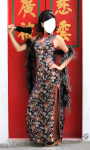 Chinese Dress Photo Montage screenshot 6/6