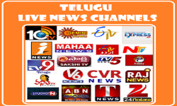 Telugu Live News Channels screenshot 1/1