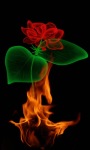 Fire Rose Magic Live Wallpaper screenshot 1/3