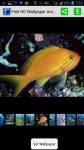 Fish HD Wallpaper Animation screenshot 1/4