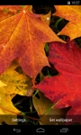 Autumn Leaves Live Wallpaper FREE screenshot 1/5