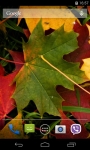 Autumn Leaves Live Wallpaper FREE screenshot 2/5