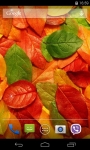 Autumn Leaves Live Wallpaper FREE screenshot 4/5
