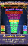 Multi Play Slot Machine - 100 Slots screenshot 4/6