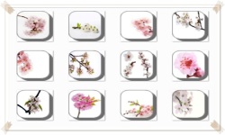 Cherry Blossom Flowers Onet Classic Game screenshot 1/3
