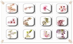 Cherry Blossom Flowers Onet Classic Game screenshot 3/3